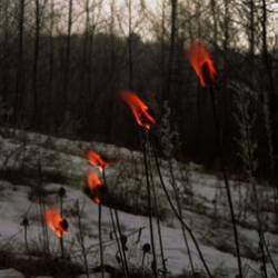 Ayr : Eternal Sustain